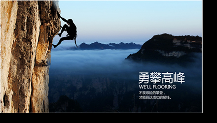 惠尔地板诚招优秀代理商