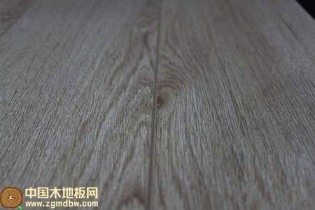 肯帝亚FDI06