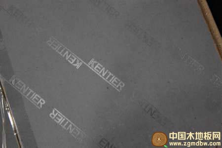 肯帝亚的英文LOGO