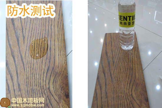 尚古年轮系列白帝青枫地板 防水性测试