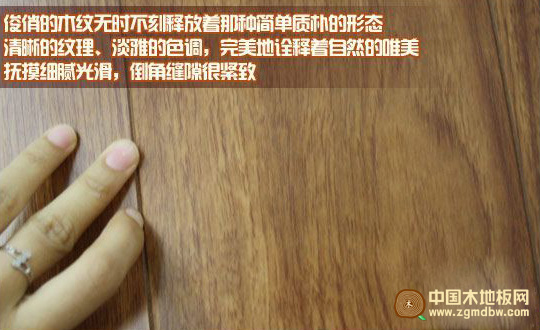 测评：圣象山影柚木强化复合地板