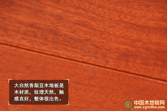 大自然香脂豆木地板