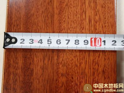宏鹏地板圆盘豆WFT-09-04A规格评测