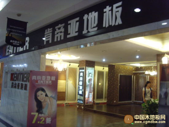 肯帝亚地板推荐 带您感触新经典
