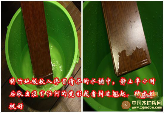 大庄竹地板黄山金顶之本品金色 真显本色