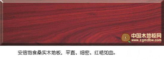 安信饱食桑实木地板测评：颜色红艳 木纹清晰