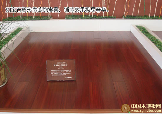 安信饱食桑实木地板测评：颜色红艳 木纹清晰