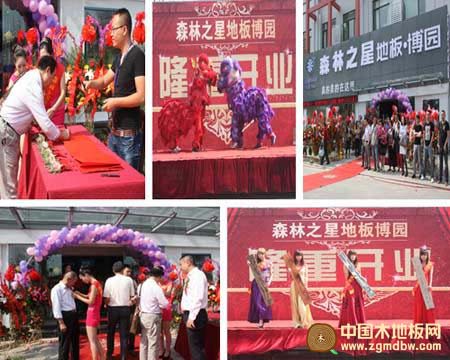 庆森林之星地板南通旗舰店开业